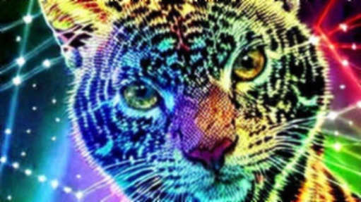 When AI Predictions Meet Crypto Reality: Decoding Brian Armstrong’s Vision When AI Predictions Meet Crypto Reality: Decoding Brian Armstrong’s Vision