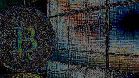 The Ghost in the Machine: Why Protocol-Level Liquidity Stress Tests Fail in Bear Markets