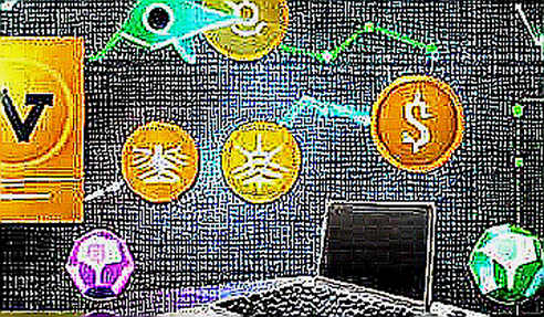 SpaceX's Price Collapse: A Case Study in Why Tokenized Stocks Are Not Safe Harbors SpaceX's Price Collapse: A Case Study in Why Tokenized Stocks Are Not Safe Harbors
