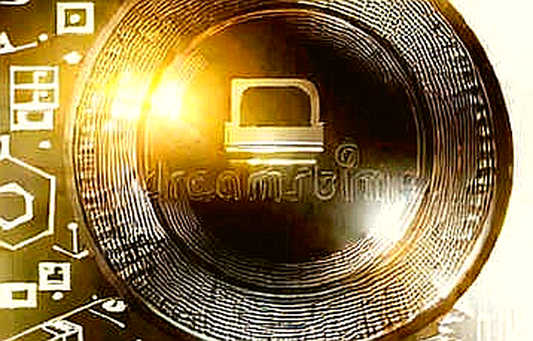 The Ghost in the Machine: Japan’s Financial Asset Classification and the Silence That Follows
