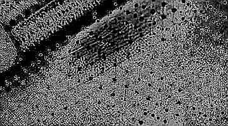 The Midterm Variable: Why AI Infrastructure Is Now a Political Derivative