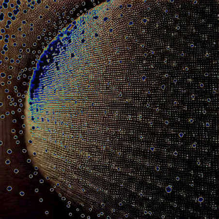 The Poll That Proves Nothing: Bitcoin's Bottom Is Still a Code Bug The Poll That Proves Nothing: Bitcoin's Bottom Is Still a Code Bug