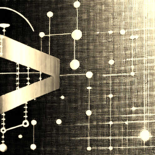The Quiet Coupling: What the DDN–Nvidia Alliance Reveals About AI's True Bottleneck The Quiet Coupling: What the DDN–Nvidia Alliance Reveals About AI's True Bottleneck