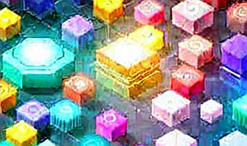 The Ledger of War: Decoding On-Chain Prediction Markets in the Iran-US Escalation