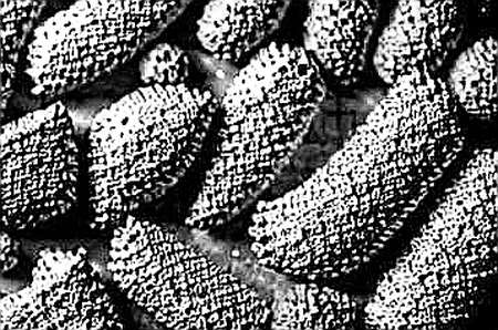The Geopolitical Audit: Why DeFi's Fundamentals Are Hiding in Plain Sight The Geopolitical Audit: Why DeFi's Fundamentals Are Hiding in Plain Sight