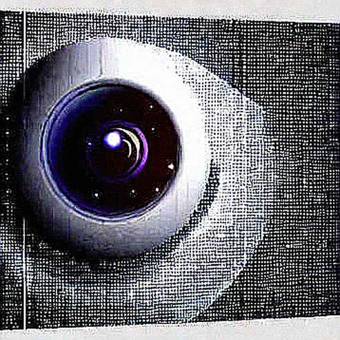 The Neural Ledger: Why Conduit's 10,000 Hours of Brain Data Is an Unaudited Token The Neural Ledger: Why Conduit's 10,000 Hours of Brain Data Is an Unaudited Token