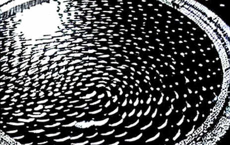 SEC's Retreat: The Clarity Act Power Play and the Hollowing of Agency Rulemaking SEC's Retreat: The Clarity Act Power Play and the Hollowing of Agency Rulemaking